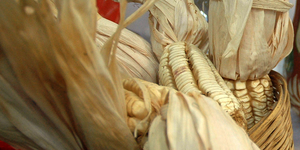 De la tlayuda al <i>tacoutique</i>