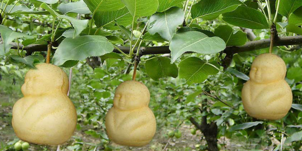 ¡Espera! No todas las peras son iguales&#8230;