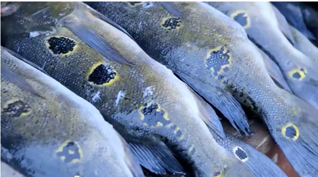 ¿Y  quién es Alex Atala?