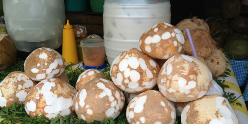 Tacos de tripa y agua de coco, el maridaje perfecto