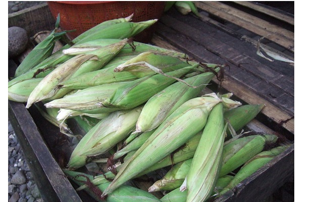 Verde que te quiero verde: el chileatole