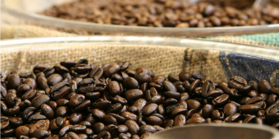 #50SaboresMexicanos Café, la energía contenida en un grano