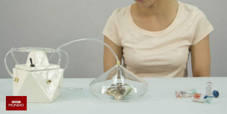 La cámara que capta olores