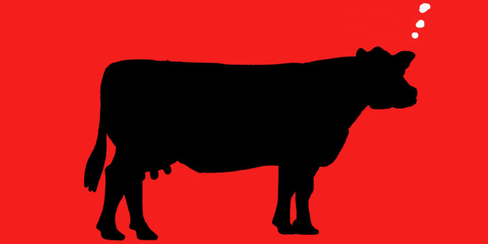 ¿En qué piensan las reses a la hora de comer?