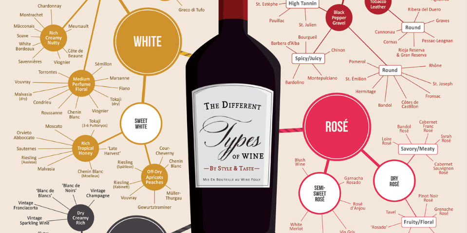 Todos los tipos de vino en una sola imagen