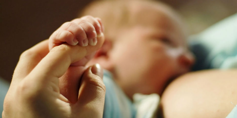 La alimentación durante la lactancia