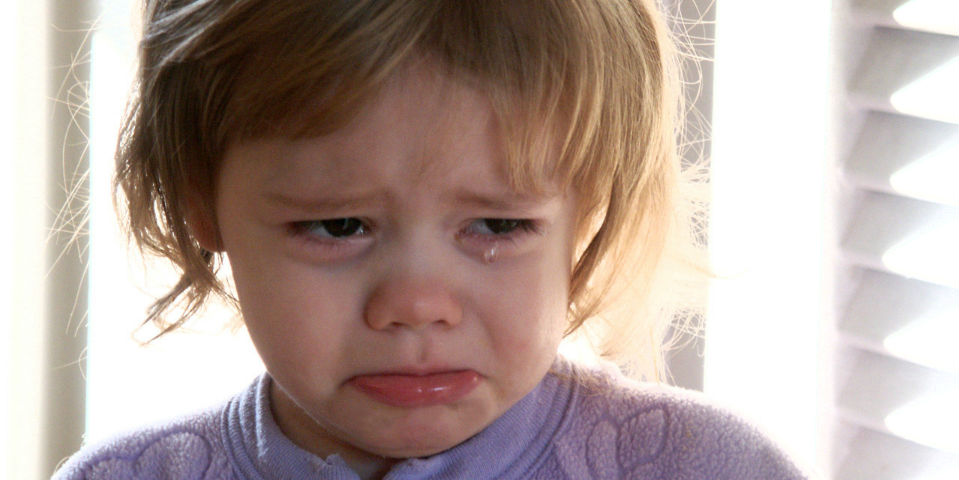 ¡No más lágrimas! (a la hora de picar cebollas)