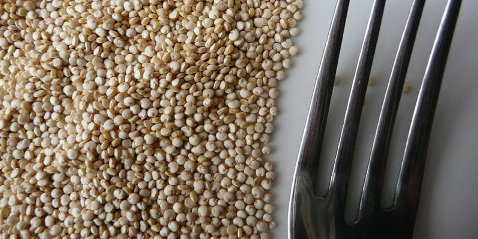 ¡Adiós a la carne! 7 alimentos para sustituirla