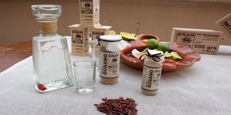 Reviviendo la milenaria tradición de la sal de gusano