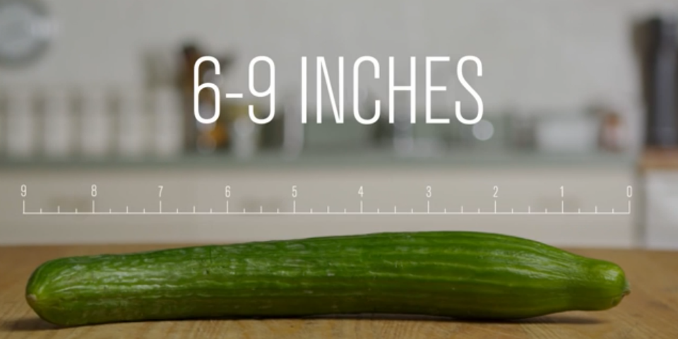 Todo sobre el sexo (con manzanitas y pepinos)