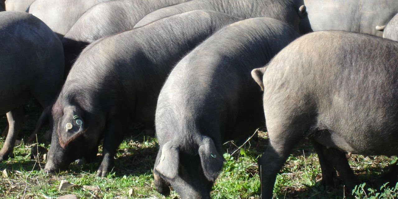 Aquel que duerme en el corazón del hombre