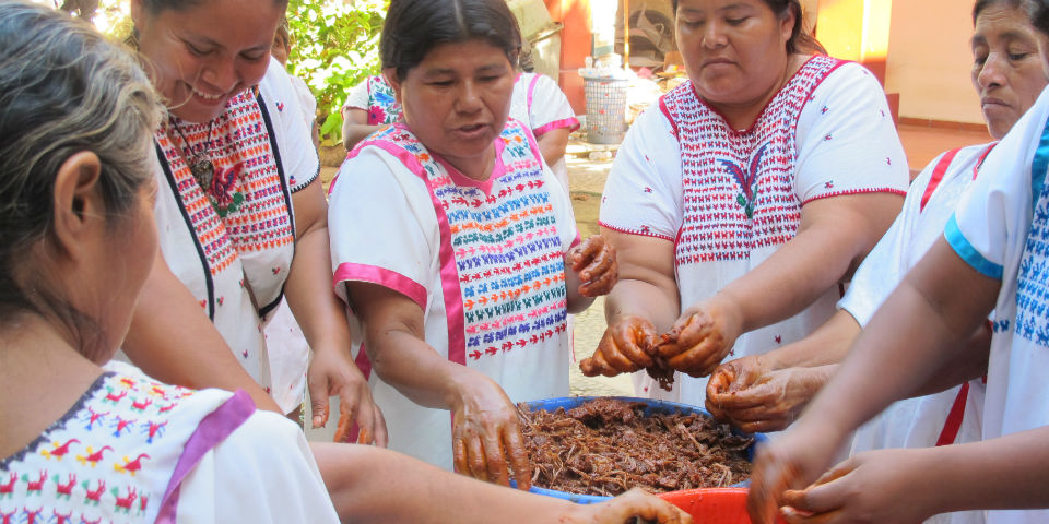 Los ancestrales sabores de la cocina étnica
