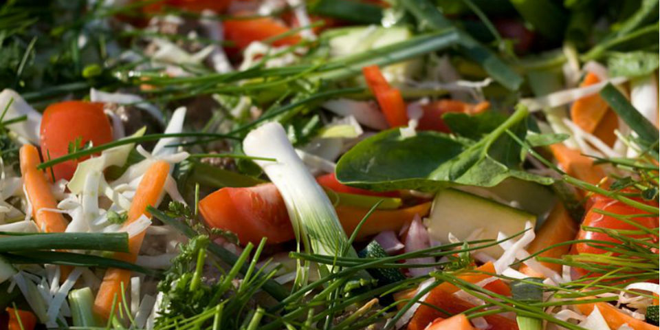 ¿Cuáles son las distintas tendencias vegetarianas?