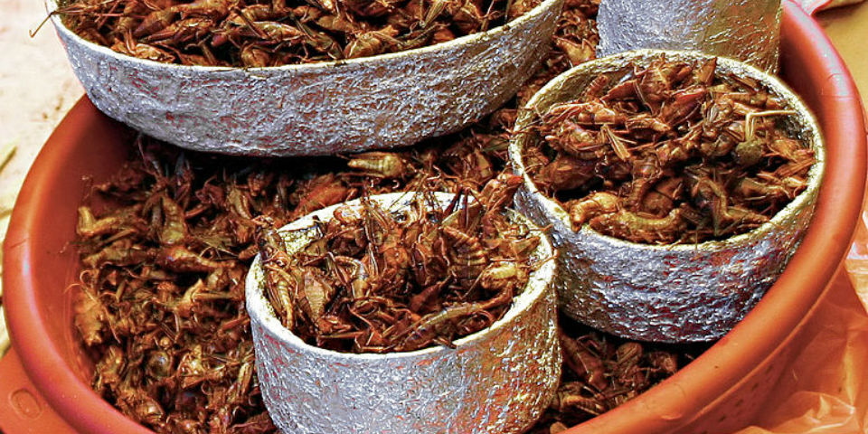 El Mercado de San Juan: Las carnes exóticas de &#8220;Los Coyotes&#8221;