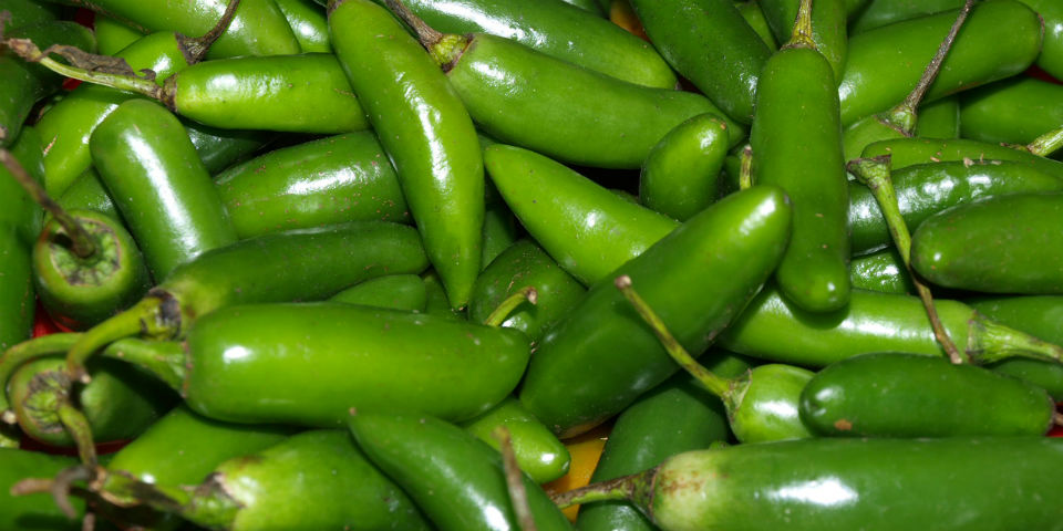 Historia culinaria de España: El chile de la Conquista