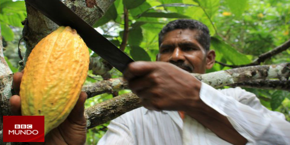 Éxito con sabor a chocolate