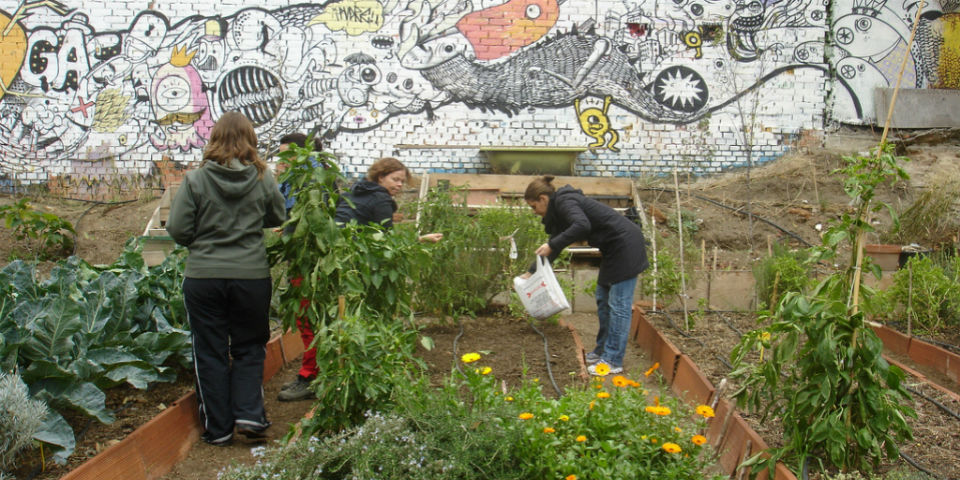 "COME de tu cuenca": Restaurantes sirviendo de sus propios huertos