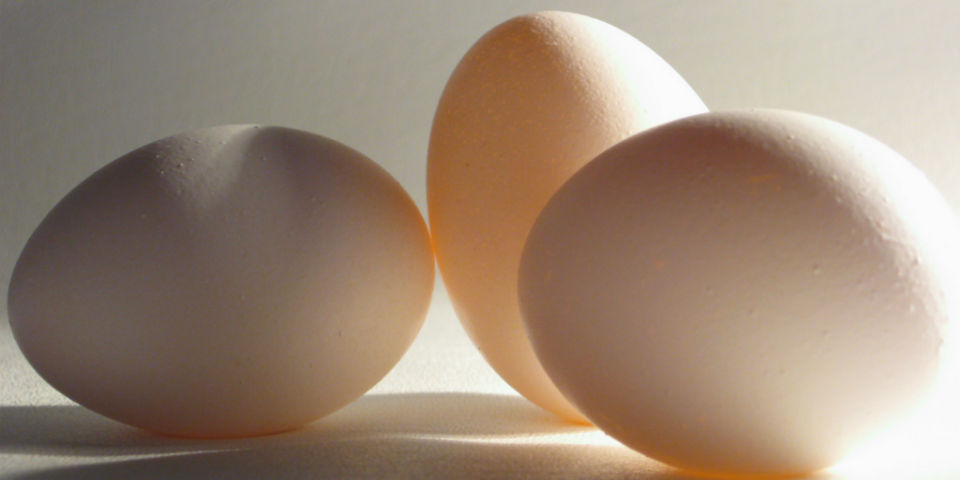 ¡Te hablamos de huevos!