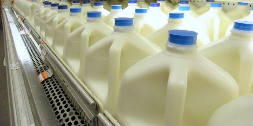 ¿No tomas leche? ¡Te damos alternativas!