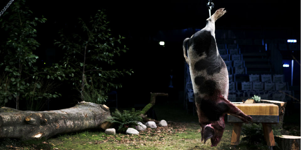 Carne y espíritu: el respeto a los animales en MAD 2013