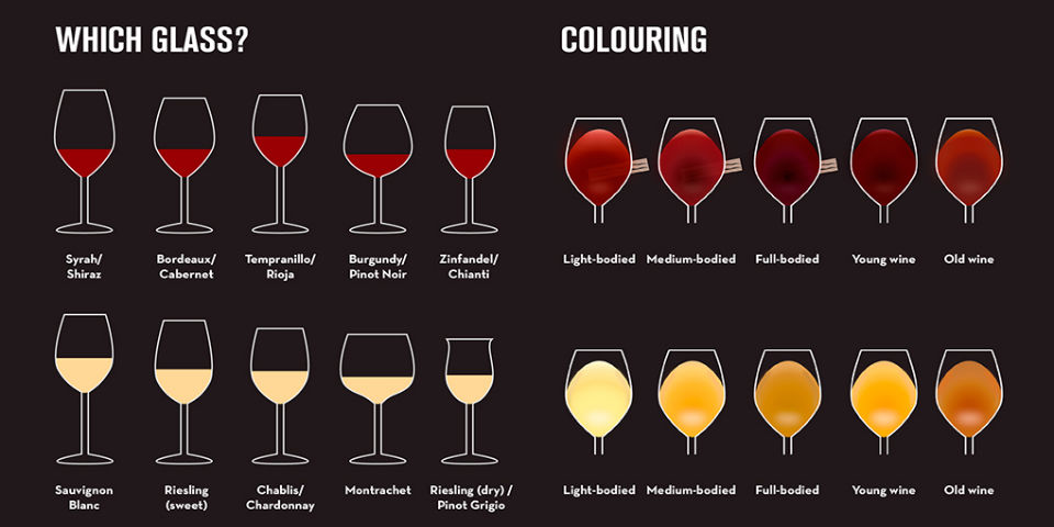 El vino, guía para principiantes