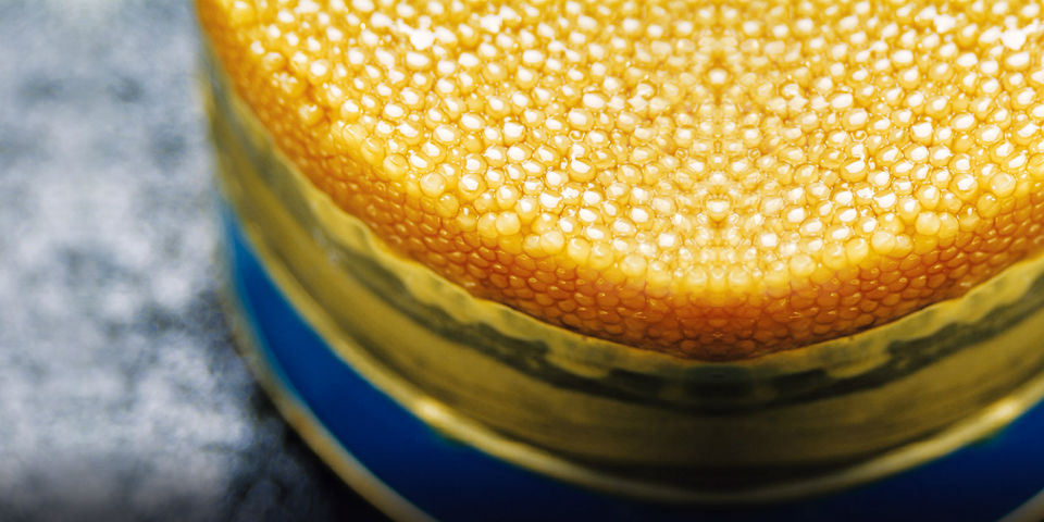 Los 10 ingredientes más caros del mundo