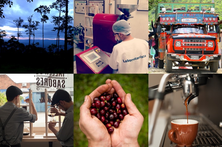 Colombia sabe a café: Antioquia quiere tener el mejor del mundo