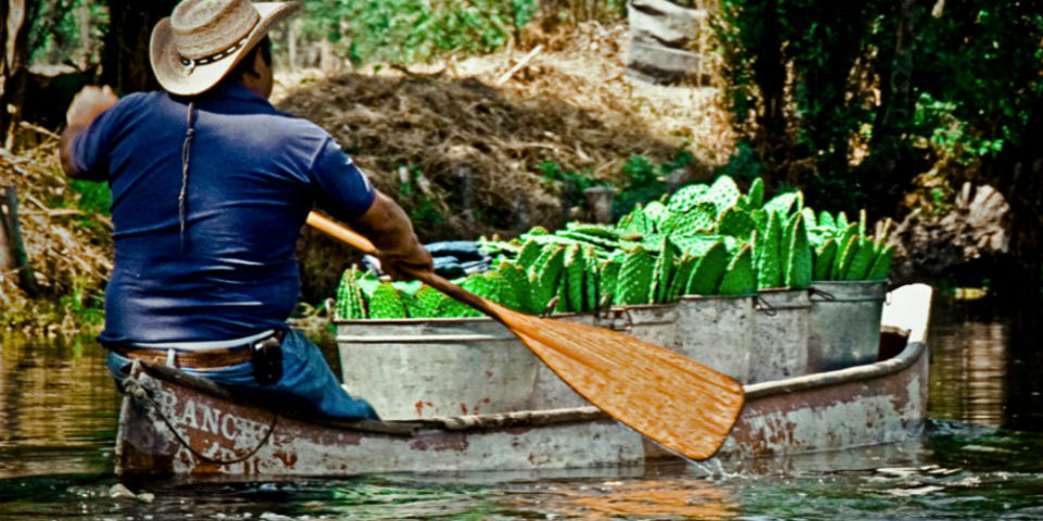 De la chinampa a la mesa