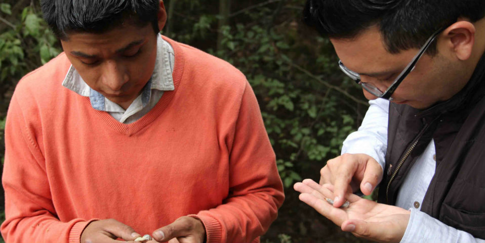 Reconocen a productores de cacao, mezcal y vainilla en un documental