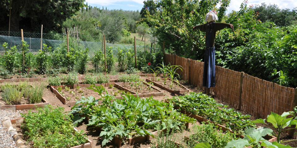 De cuando se me volteó la tortilla...