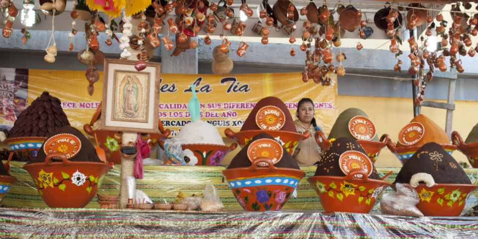 Rápida y breve guía de los moles