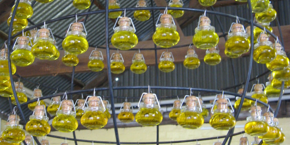 Aceite de oliva, el ingrediente de los mil sabores