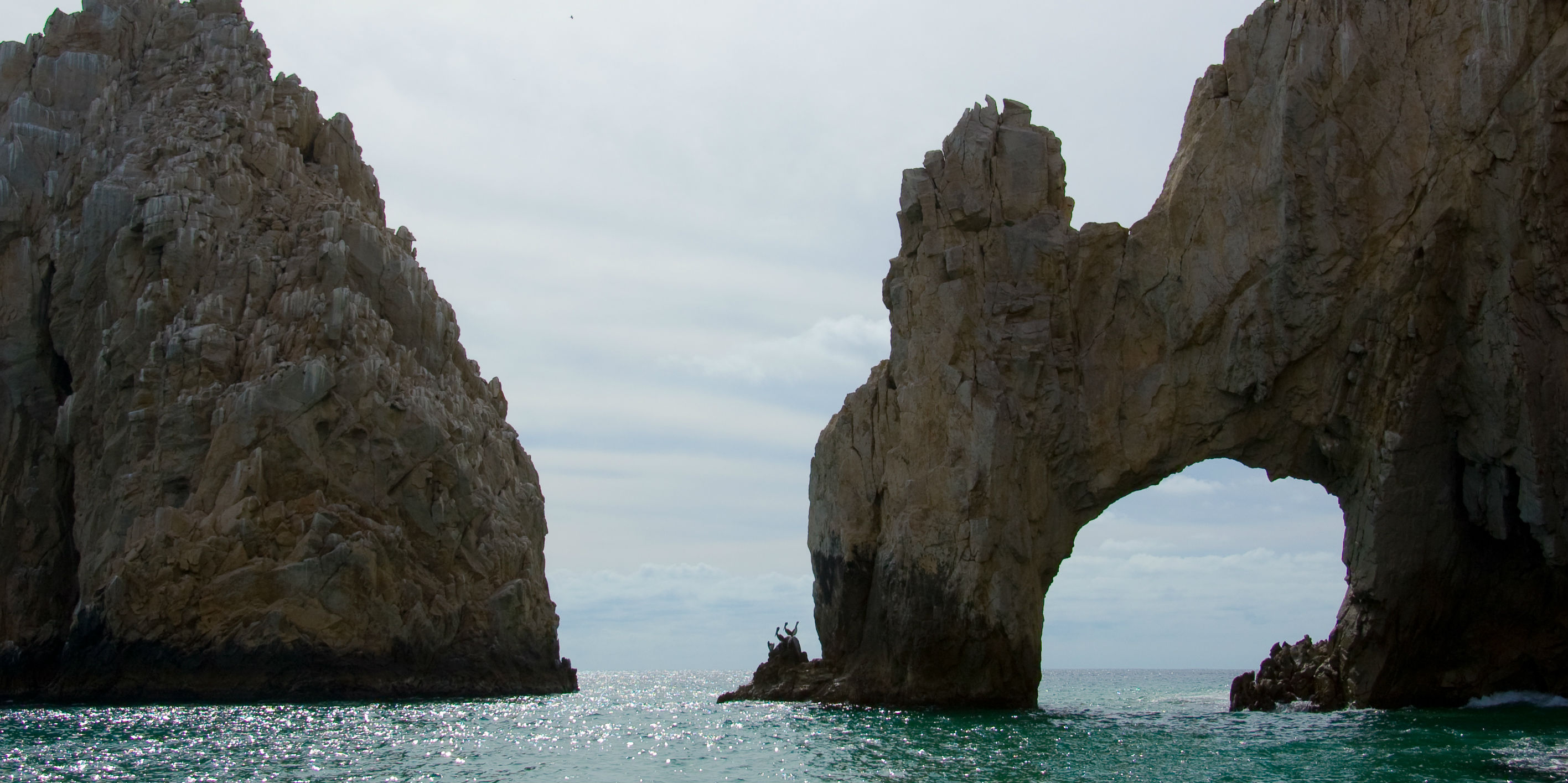 Los sabores nacionales e internacionales viajan a Los Cabos