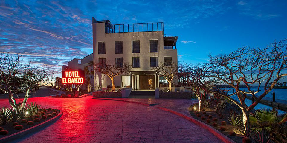 Déjate llevar en las alas de El Ganzo