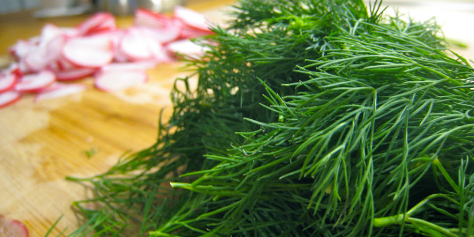 Eneldo, la pareja ideal de los pescados