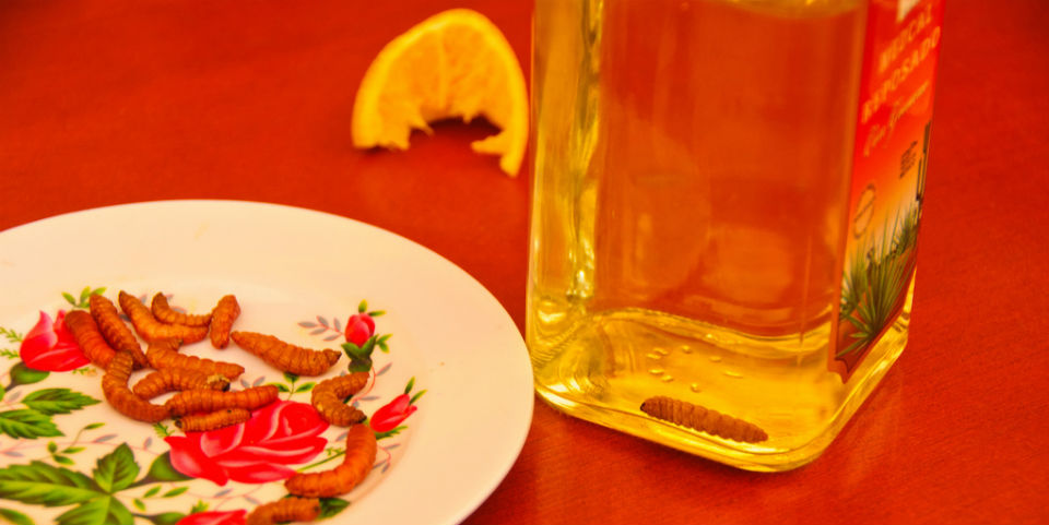 El mezcal se bebe a besos