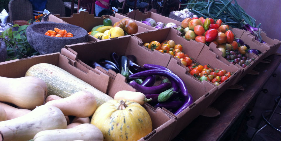 Huerta Los Tamarindos, dónde se cultiva el sabor