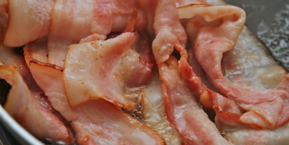 Las notas más vistas de Animal Gourmet (Parte 1)