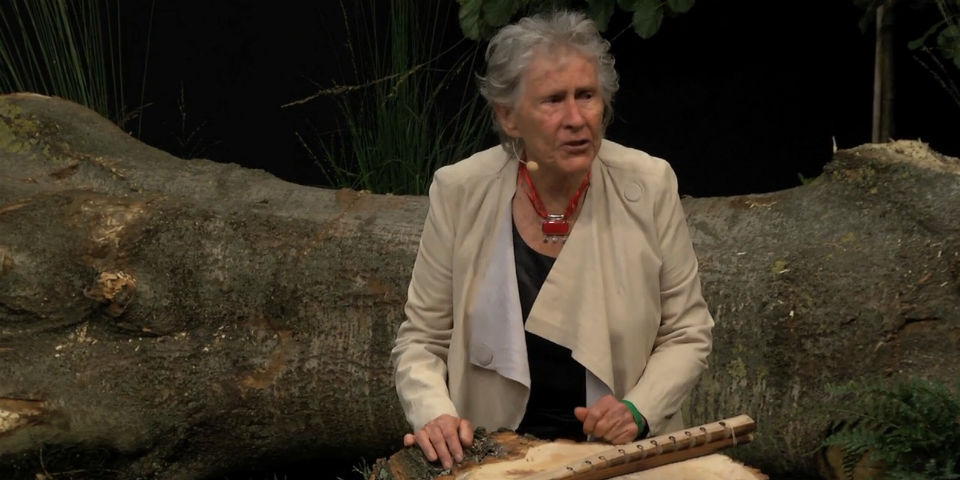 #MAD: Diana Kennedy habla de sustentabilidad