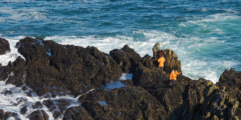 Historias de percebes y percebeiros