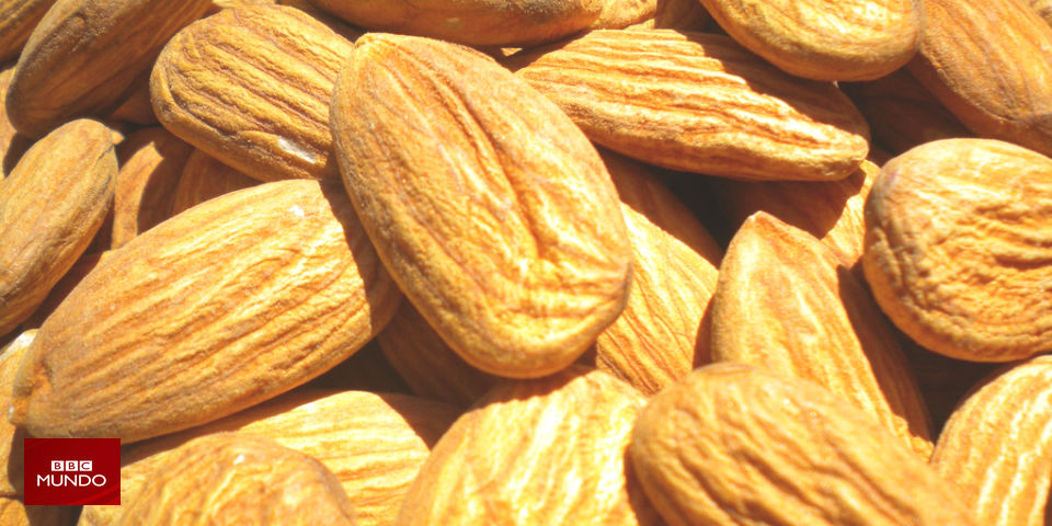 ¿Por qué son tan caras las almendras?