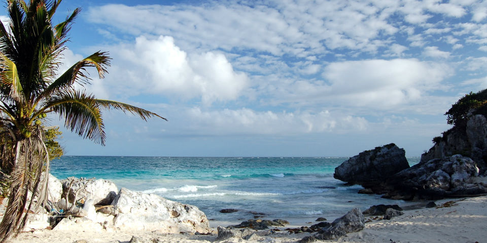 Cancún Wine & Food Festival: mar, sol y gastronomía