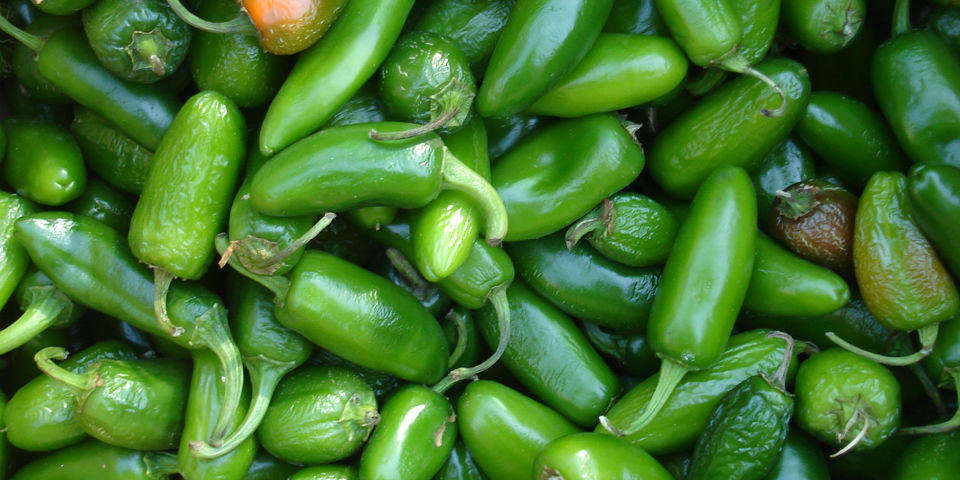 recetas de botanas ricas y fáciles