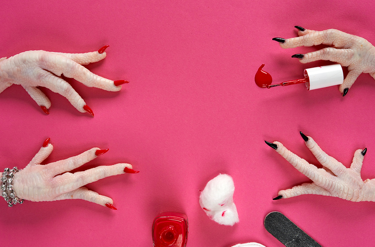 Arte con patas de pollo: las divertidas fotografías de Davide Luciano