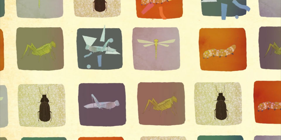 ¿Deberíamos comer insectos?