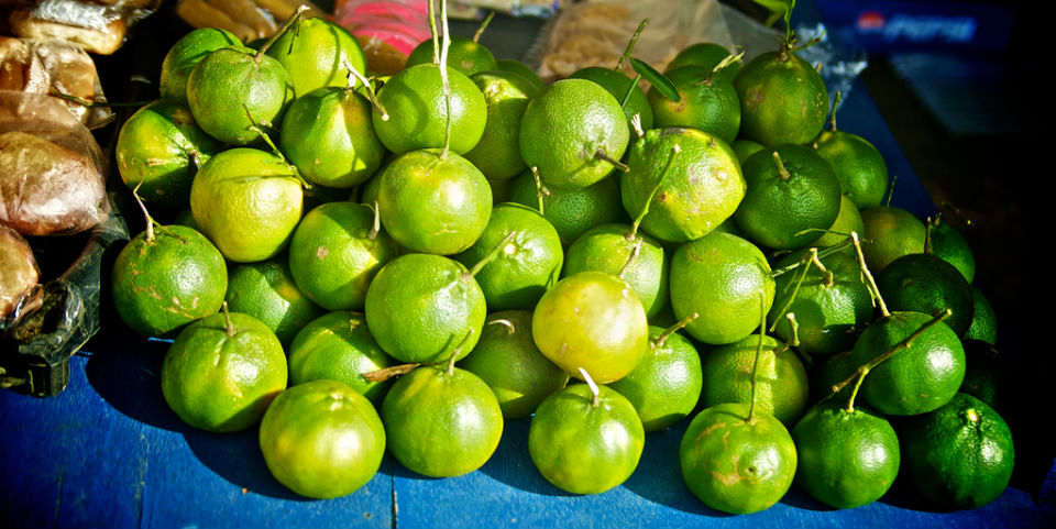 El limón, en toda su gloria