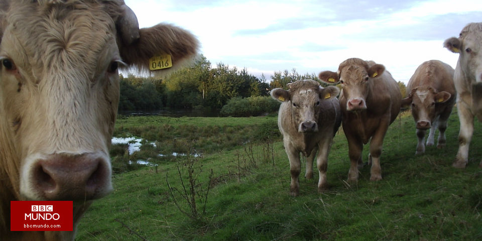 GPS y otras tecnologías para evitar que la comida vaya a la basura