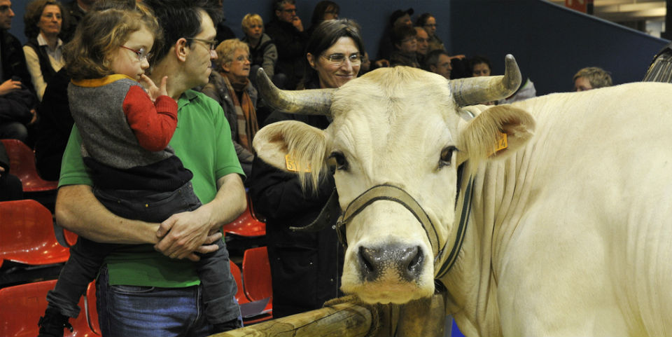 salón de la agricultura