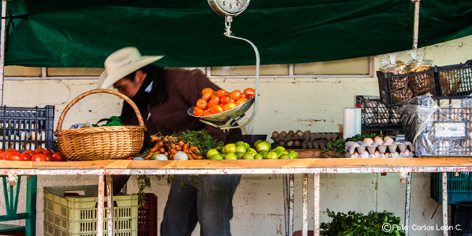 En Tlaxcala, todos ganan con la agricultura local