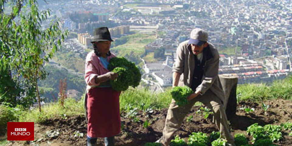 DF, una de las ciudades de AL con más huertos urbanos